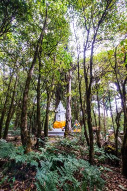 Doi Inthanon Ulusal Parkı 'ndaki Kral Inthanon Anıt Tapınağı, Tayland