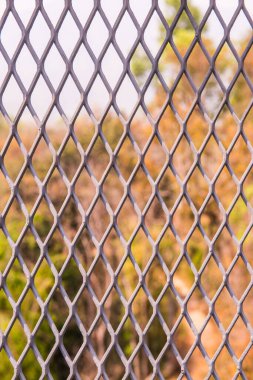 Performans Çiti Yürüyüşü, Tayland