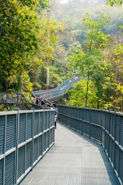 Kraliçe Sirikit Botanik Bahçesi 'nin tepe örtüsü yolu, Tayland
