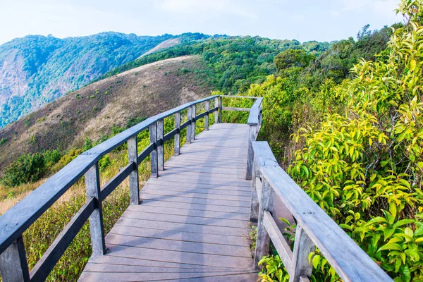 Kew Mae Pan 'ın Doi Inthanon Doğal Parkı, Tayland Bakış Alanı
