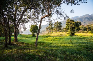 Tayland 'ın Chiangmai ilindeki Huay Tueng Tao gölünün manzara manzarası.