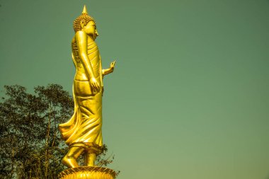 Phra 'da yürüyen altın Buda heykeli. Khao Noi tapınağı, Tayland.