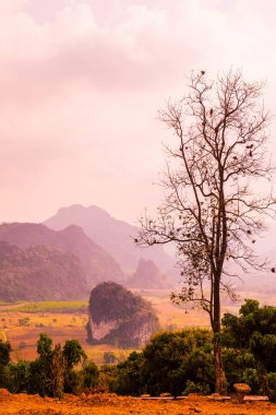 Phu Langka Ulusal Parkı, Tayland Güzel Manzarası.