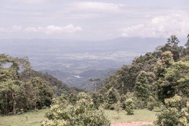Tayland 'ın Chiangmai bölgesindeki dağ manzarası..