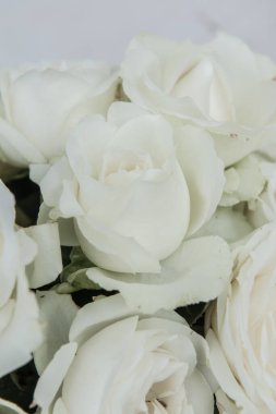 Dekorasyon için beyaz güller, Tayland.