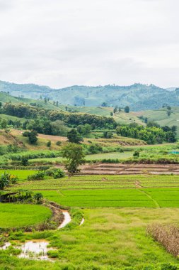 Chiang Rai Eyaleti, Tayland Doğal Manzarası.