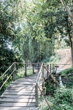 Ulusal Park, Tayland 'da beton merdiven.
