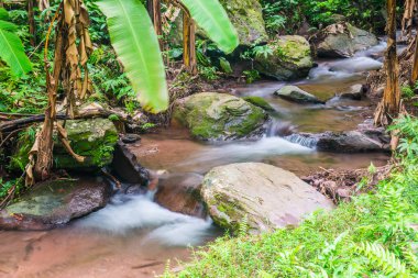 Champa Tanga Şelalesinde Su Akıyor, Tayland.