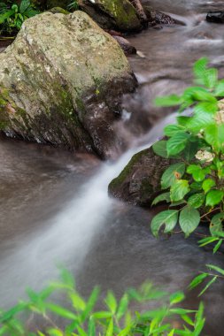 Champa Tanga Şelalesinde Su Akıyor, Tayland.