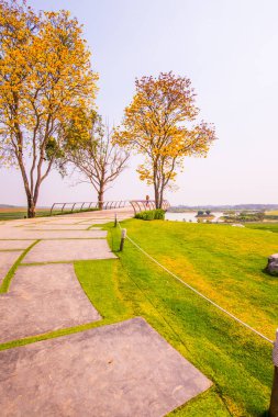 Tayland, Tayland 'da Çay Çiftliği Bakış Alanı