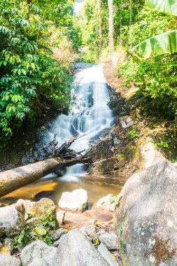 Siribhum Şelalesi, Tayland, Chiang Mai vilayetinde.