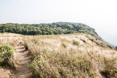 Kew Mae Pan görünümü Doi Inthanon Tabiat Parkı, Tayland
