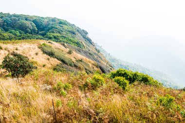 Kew Mae Pan görünümü Doi Inthanon Tabiat Parkı, Tayland