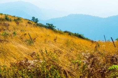 Kew Mae Pan görünümü Doi Inthanon Tabiat Parkı, Tayland