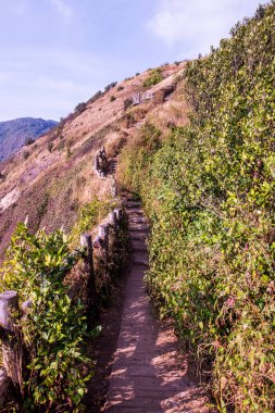 Kew Mae Pan görünümü Doi Inthanon Tabiat Parkı, Tayland