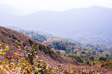 Kew Mae Pan görünümü Doi Inthanon Tabiat Parkı, Tayland