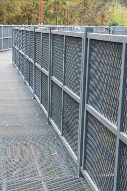 Kraliçe Sirikit Botanik Bahçesi 'nin tepe örtüsü yolu, Tayland