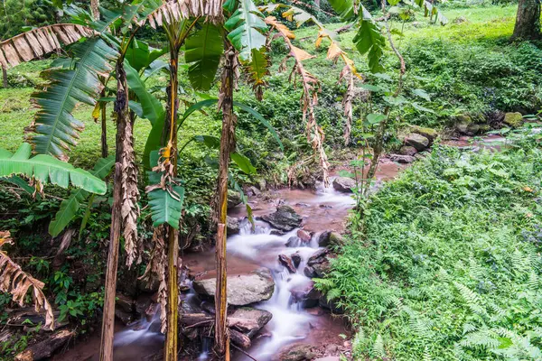 Champa Tanga Şelalesinde Su Akıyor, Tayland.