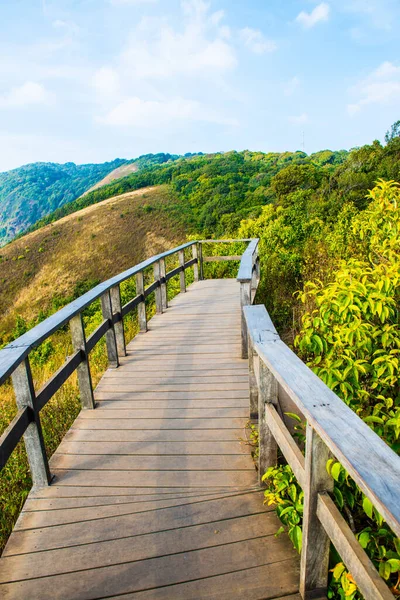 Kew Mae Pan 'ın Doi Inthanon Doğal Parkı, Tayland Bakış Alanı