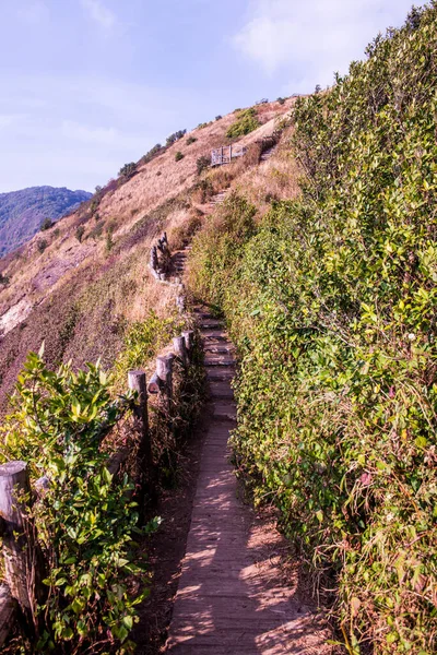 Kew Mae Pan görünümü Doi Inthanon Tabiat Parkı, Tayland