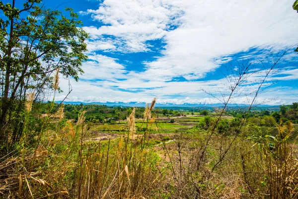 Tayland 'ın Chiangrai eyaletinde Country View