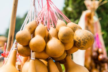 Kurutulmuş şişe kabağı, Tayland