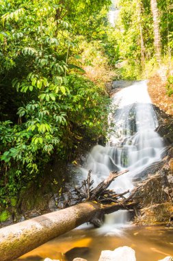 Siribhum Şelalesi, Tayland, Chiang Mai vilayetinde.