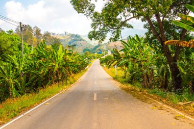 Tayland 'ın Phayao eyaletinde dağdaki yol.