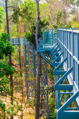 Kraliçe Sirikit Botanik Bahçesi 'nin tepe örtüsü yolu, Tayland