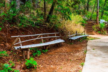 Yürüme yolunun yanındaki basit bambu bank, Tayland.