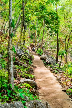 Tayland 'daki dağda beton geçit..