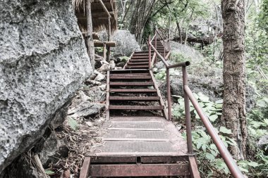 Ormanda çelik merdivenler, Tayland.