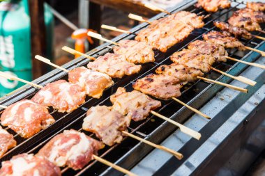 Anthurium hookeri Schott bahçede..