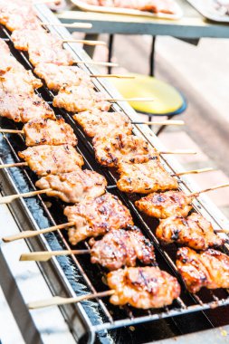 Anthurium hookeri Schott bahçede..