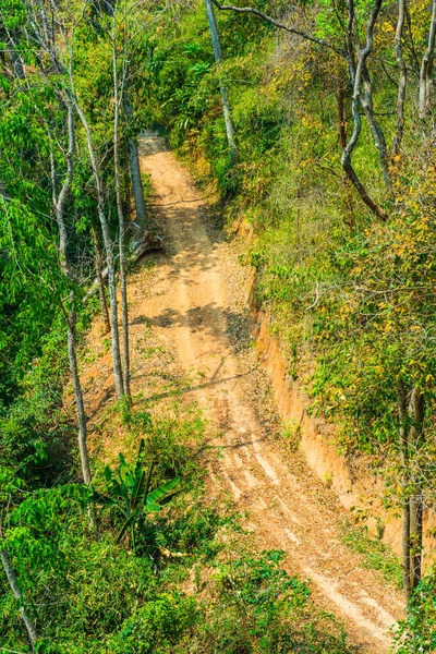 Ormanda küçük bir yol, Tayland