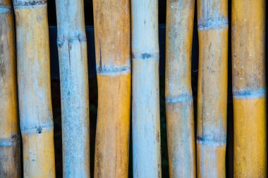 Bambu duvar arkaplanı, Tayland