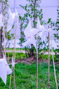 Parktaki Plastik Beyaz Yaban Değirmeni, Chiangmai Eyaleti.