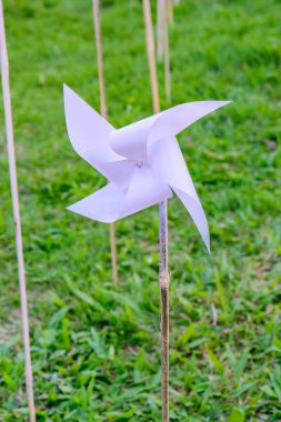 Parktaki Plastik Beyaz Yaban Değirmeni, Chiangmai Eyaleti.