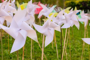 Parktaki Plastik Beyaz Yaban Değirmeni, Chiangmai Eyaleti.