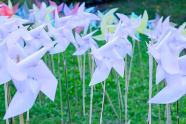 Parktaki Plastik Beyaz Yaban Değirmeni, Chiangmai Eyaleti.