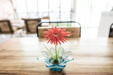 Tahta masada küçük Gerbera çiçeği, Tayland