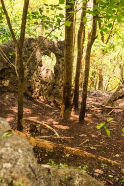 Tayland 'da, kayalarda kalp şeklinde..