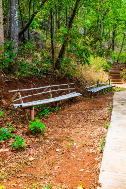 Yürüme yolunun yanındaki basit bambu bank, Tayland.