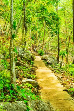 Tayland 'daki dağda beton geçit..