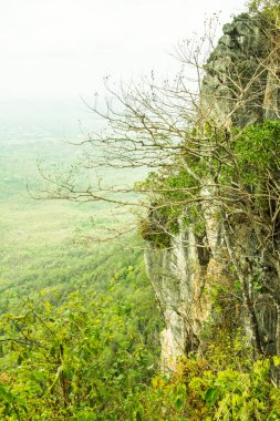 Tayland 'ın Lampang bölgesindeki ağaçlar, mağaralar ve Pan şehri.