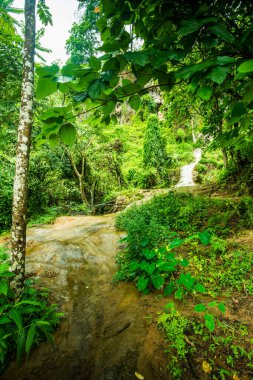 Phayao Eyaleti, Tayland, tan Tong şelale