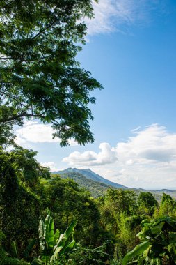 Kwan Phayao 'nun Tayland' daki dağ manzarası.