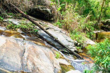 Thailand 'daki Doi Suthep Pui Ulusal Parkı' ndaki Şelaleden.