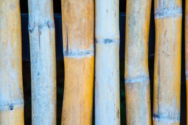 Bambu duvar arkaplanı, Tayland