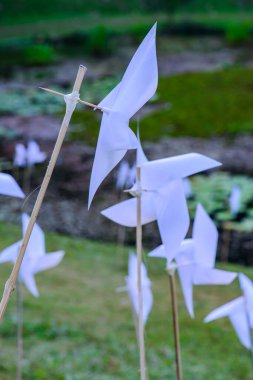 Parktaki Plastik Beyaz Yaban Değirmeni, Chiangmai Eyaleti.